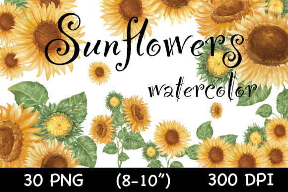 Download Watercolor Sunflowers, Vintage(clip Art) - Clip art Collection